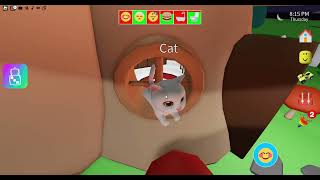 Playing Roblox Pet Party!