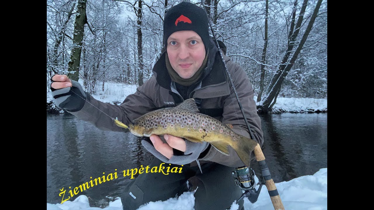 Žieminiai upėtakiai