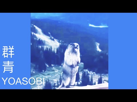【土撥鼠】群青 YOASOBI meme