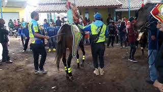 Kuda Renggong Mekar Endah #BanyuWang #Marko #Cemong