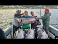 Epic tuna experience off cape point