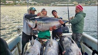 Epic Tuna Experience off Cape Point!