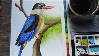 Bringing a Kingfisher to Life with Watercolors | Watercolor Painting Timelapse