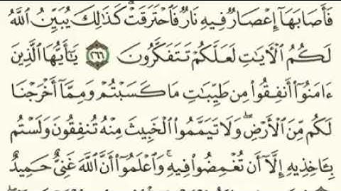 سورة البقرة الصحيفة رقم 45 مع الشيخ د.أحمد عبد الرحمن الخجا 🌹