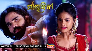 Mayabini | Ep 186 | 20th May 2023 | Watch Full Episode Now On Tarang Plus