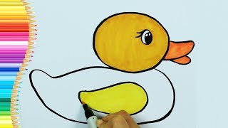 بطه رسم كيفية رسم