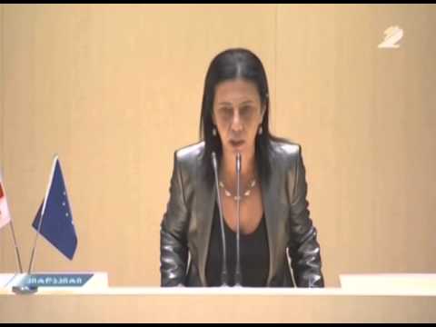 ნინო გოგუაძის გამოსვლა პარლამენტში - 18.07.2014