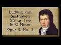 Beethoven  string trio in c minor opus 9 no 3