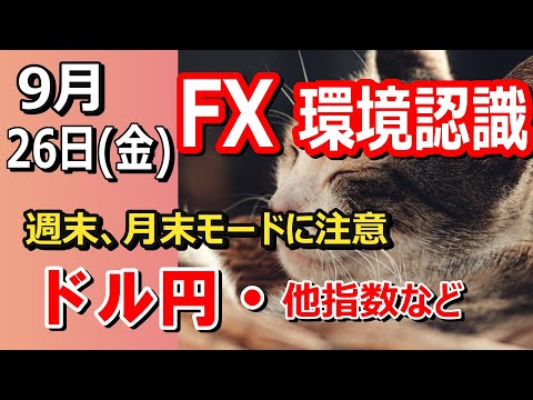 【TAKA FX】週末、月末モードに注意　ドル円他各通貨の環境認識解説。各種指数、GOLDなど　9月26日(金)