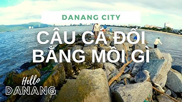 “Hello DaNang” Tuyệt chiêu câu cá đối có một không hai ở Đà Nẵng
