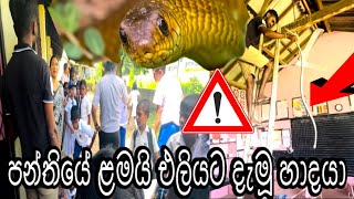 Snake Inside Classroom! | School Snake Rescue Mission 🐍