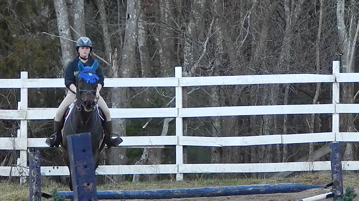 Danielle & Stryker - December 26, 2014