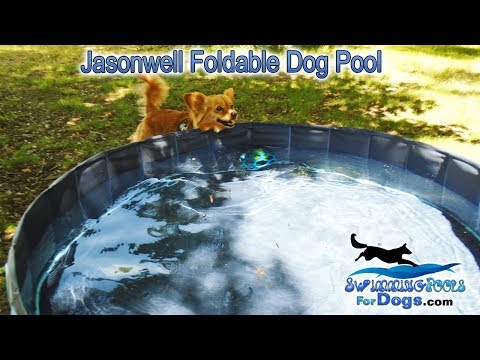 Jasonwell Foldable Dog Pool in 5 Sizes – A Real Ruff Tuff Folding Dog Swimming Pool!