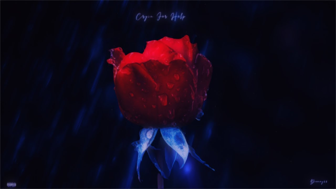 Self Medicating (official visualizer Dommy48)