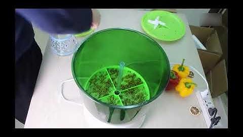 The Automatic beans sprouter JET ONE - How to use