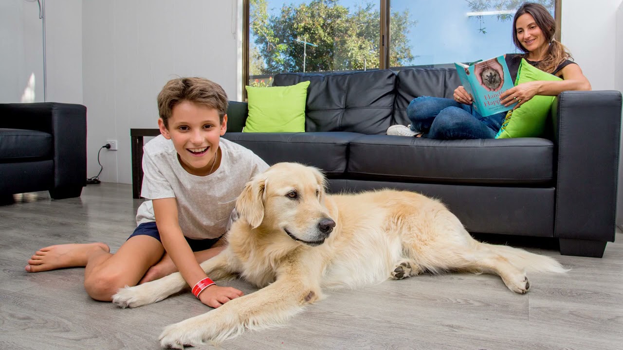 BIG4’s Pet Friendly Parks - Go On Holiday With Your Best Friend