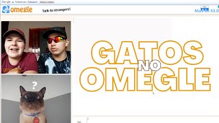 GATOS ENTRANDO NO OMEGLE!