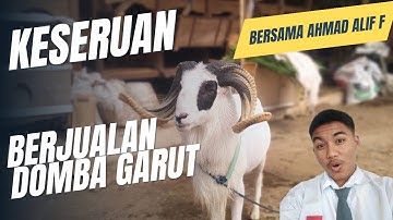 Tugas Akhir Pemrograman Dasar : Program Penjualan Domba - Ahmad Alif Fadillah #TugasAkhir #C++