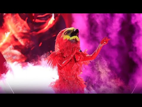 Hoa Nở Không Màu phiên bản Phượng Hoàng Lửa cực đỉnh | The Masked Singer Vietnam - youtube