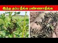 எள் விவசாய பிரச்சனைகள் ❗️ 🌿what risk❗️we face for sesame cultivation in tamil / merits &amp; demerits