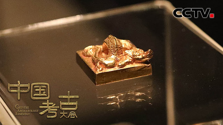 2000多年前的“文帝行玺”龙钮金印被鉴定为9.9纯金，是目前已知最大的一枚金印！| CCTV “中国考古大会” - 天天要闻