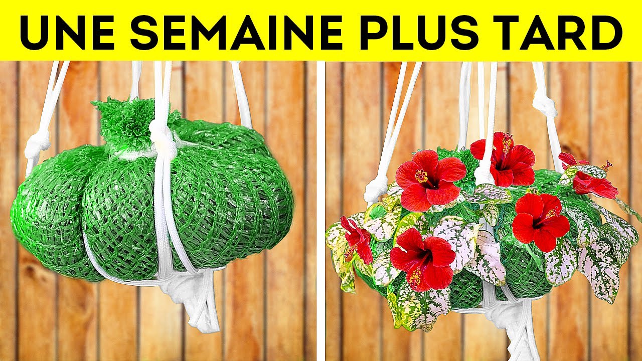 Astuces de jardinage ! Conseils simples pour un jardin florissant