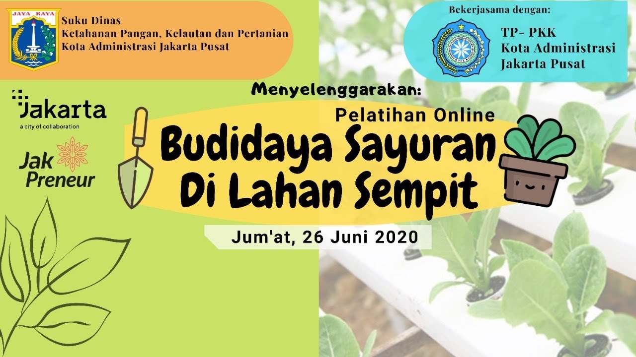 Pelatihan budidaya sayuran di lahan sempit 