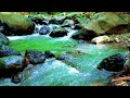 Tranquil River Flow 🌙 Relaxing Nature Ambience for Mind and Body