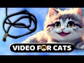 Cat games  black string for cats to watch  cat tv  1 hour