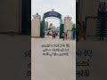 الكل يقول هوه في كليه ايه انا كليه حقوق جامعه الزقازيق Mario كليه حقوق جامعه