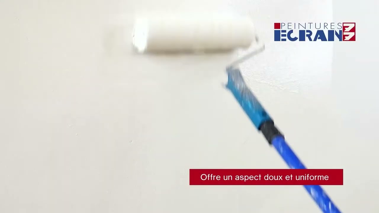 Vidéo: Peinture Alkyde pro murs et plafonds blanc mat 15L
