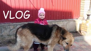 : VLOG     .     ?