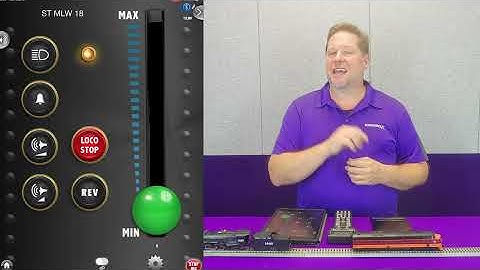 Blunami - Common Questions Answered