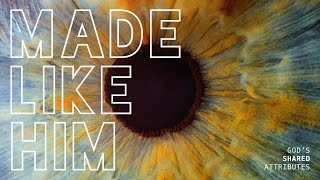 Bonus Sermon: Wise | Made Like Him | Pastor Eric Ferris