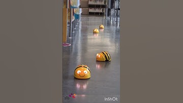 Bee-Bot