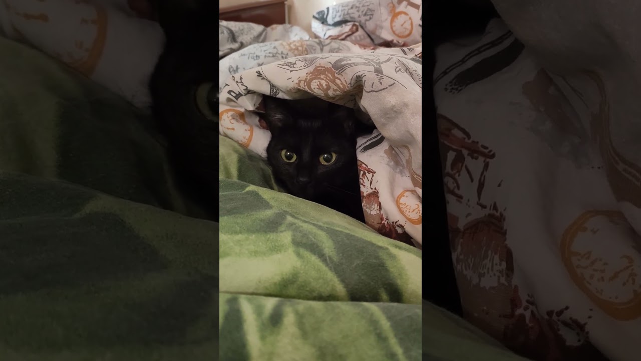 Буду здесь сидеть с круглыми глазами ) 