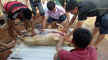 phong tục lên ở rể người thái mộc Châu