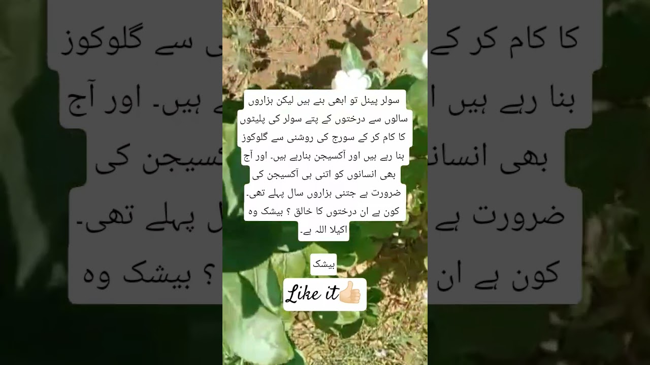 Tarasti nigahon se🥲❤surprise gift | cute baby|aqwal e zareen|golden words|baby