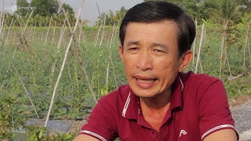 Máy tưới rau tự động bằng ống nước của nông dân miền Tây!