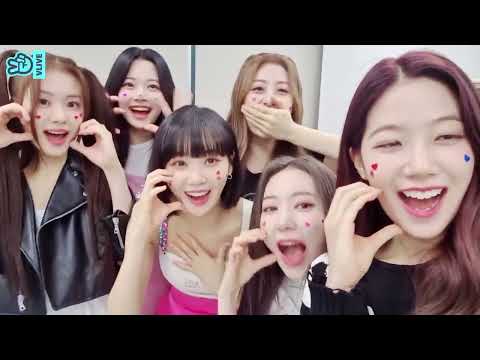 [ENG/INDO] Oh my god | LE SSERAFIM VLIVE