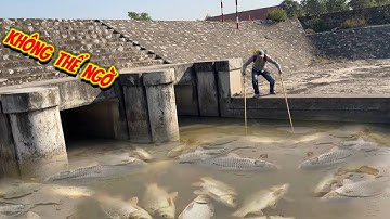 Thằng em Tập đi kích cá - và cái kết không thể tưởng tượng nổi - fishing 
