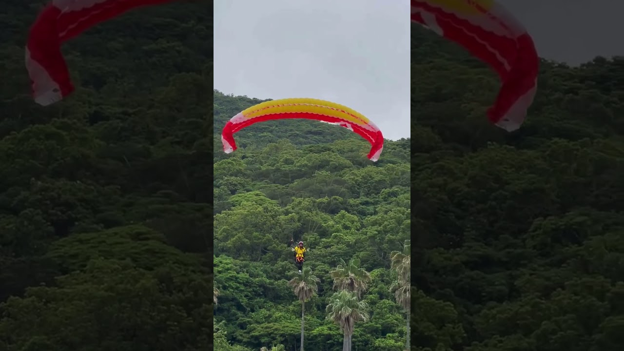 両翼折下降 Paraglider Japan パラグライダー宮崎 車中泊 キャンプ応援サイト