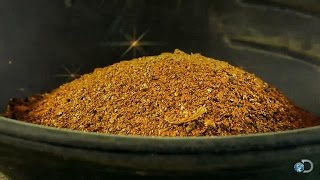 Gold Big or Go Home | Gold Rush