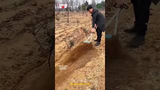 Amazing Brushcutter Machine Power Tiller Weeder Attachment