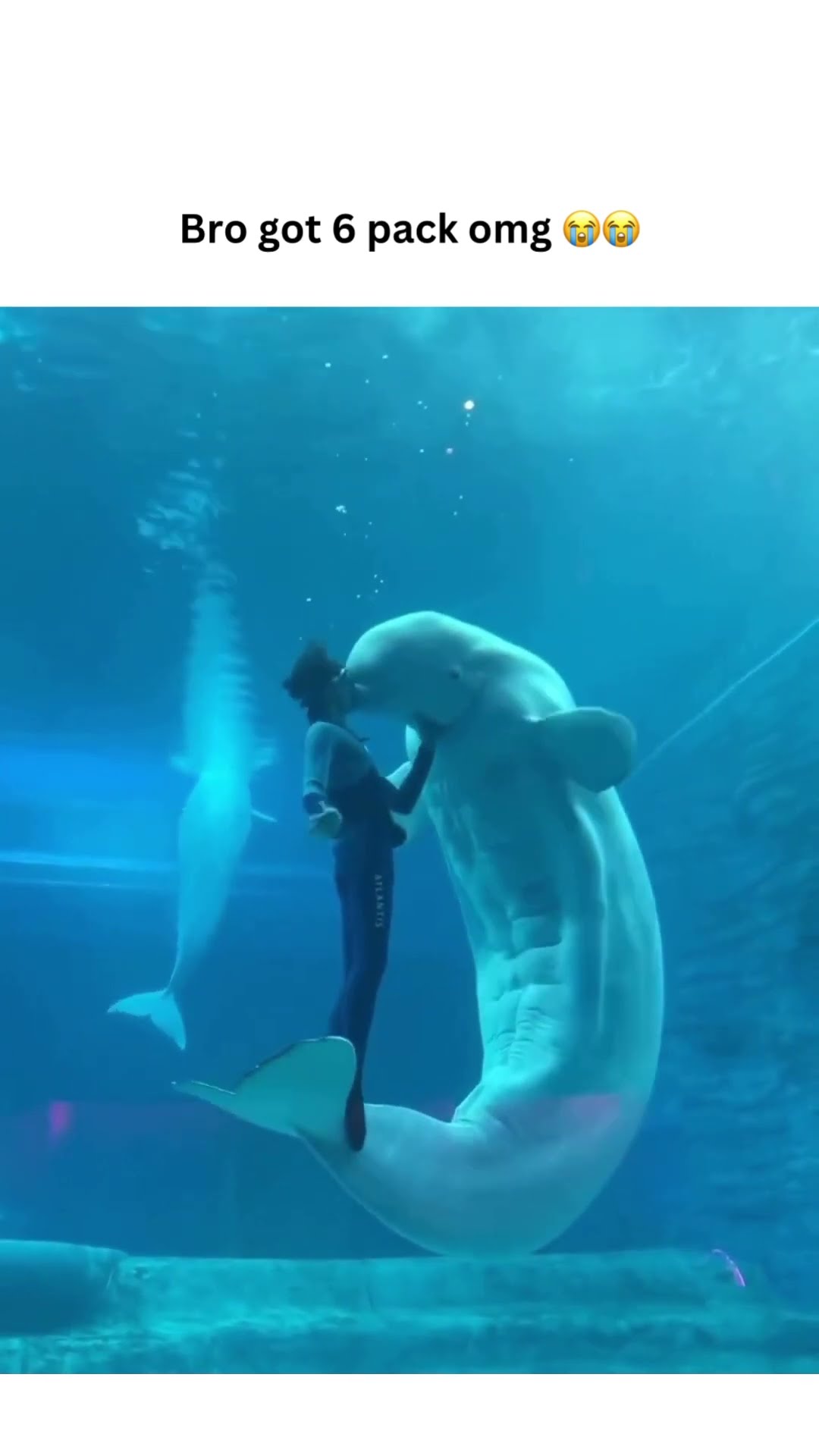 Whale over there with a six pack like yes I’m ur real prvnci