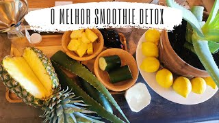 Receita de Suco Detox (smoothie de abacaxi, babosa, pepino e limão) screenshot 5