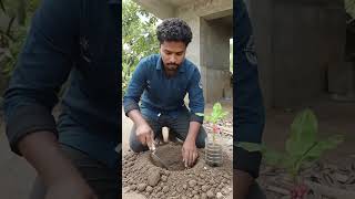 tree planting🪴 #youtubeshorts #viral #shorts #gardening #farming #plants #plantation #plantcare