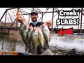 CATCHING HUGE SLAB CRAPPIE IN HIGHLY PRESSURED Waters!!! How To Catch Fish In Crowded Locations!