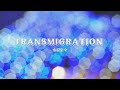 【DTM】TRANSMIGRATION【水樹奈々】