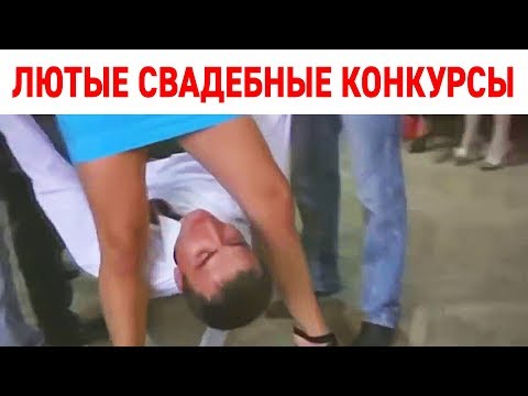 Забавные гифки с неожиданным сюжетом